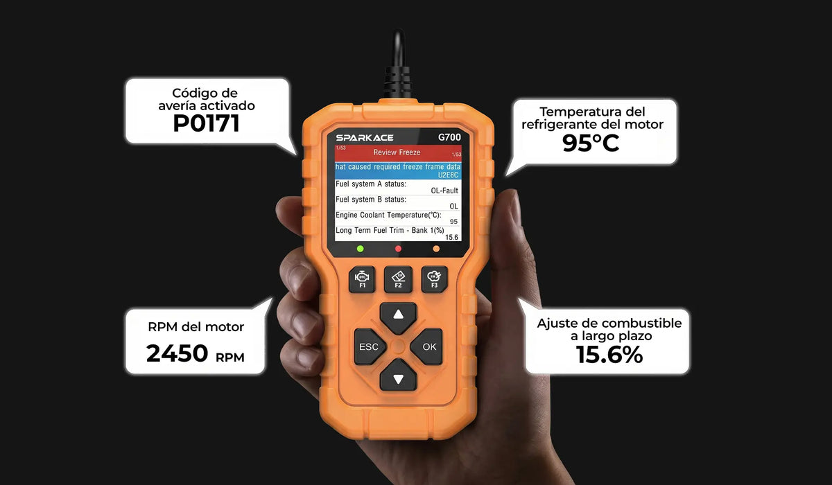 Ver datos de Freeze Frame